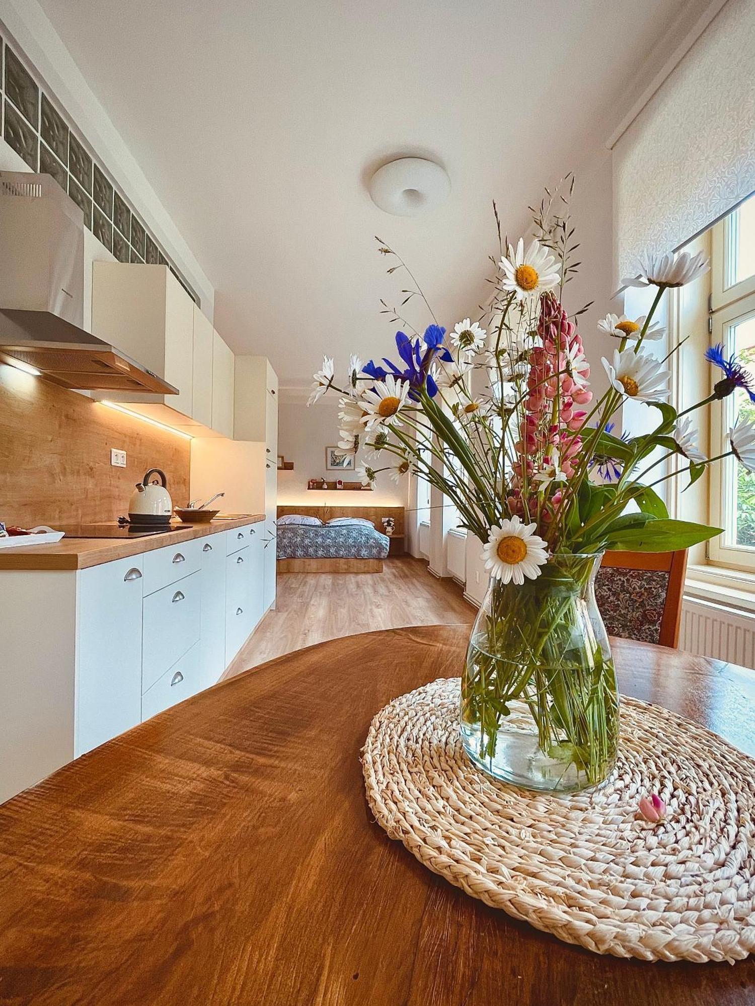 Apartmany Basta & Wellness Sušice Eksteriør billede