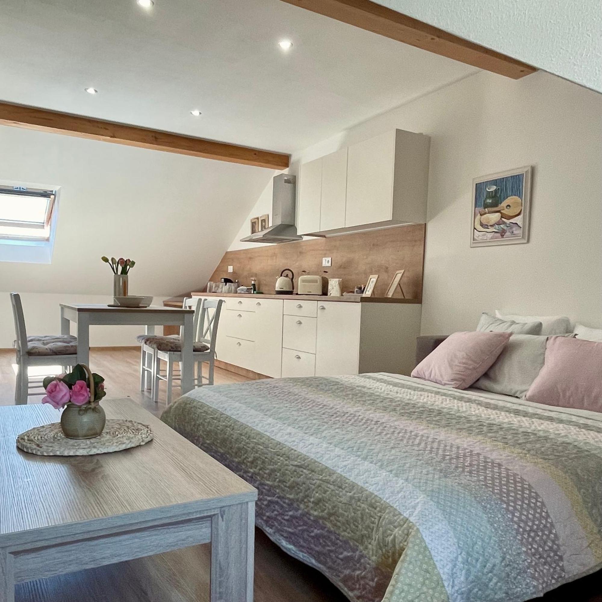 Apartmany Basta & Wellness Sušice Eksteriør billede
