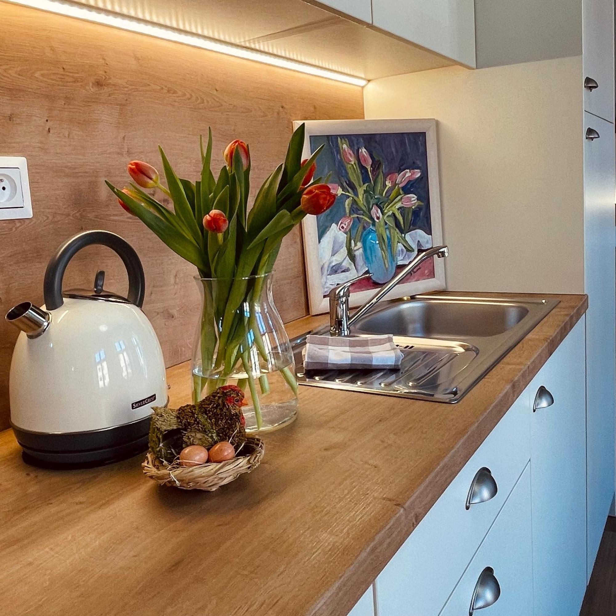 Apartmany Basta & Wellness Sušice Eksteriør billede